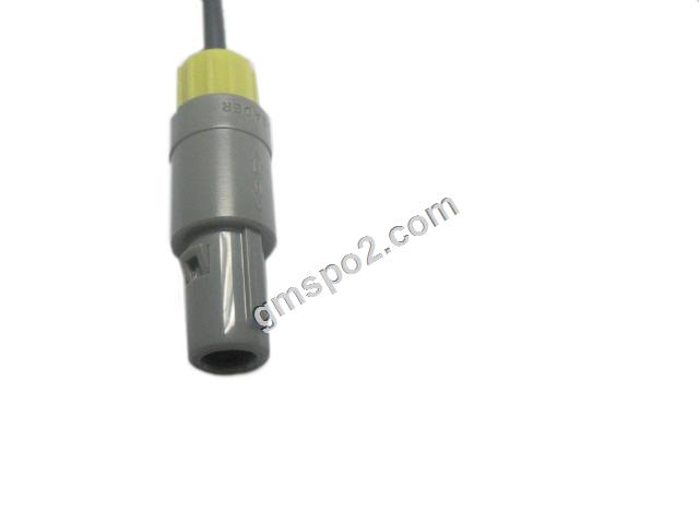 تيمب ريديل-.jpg