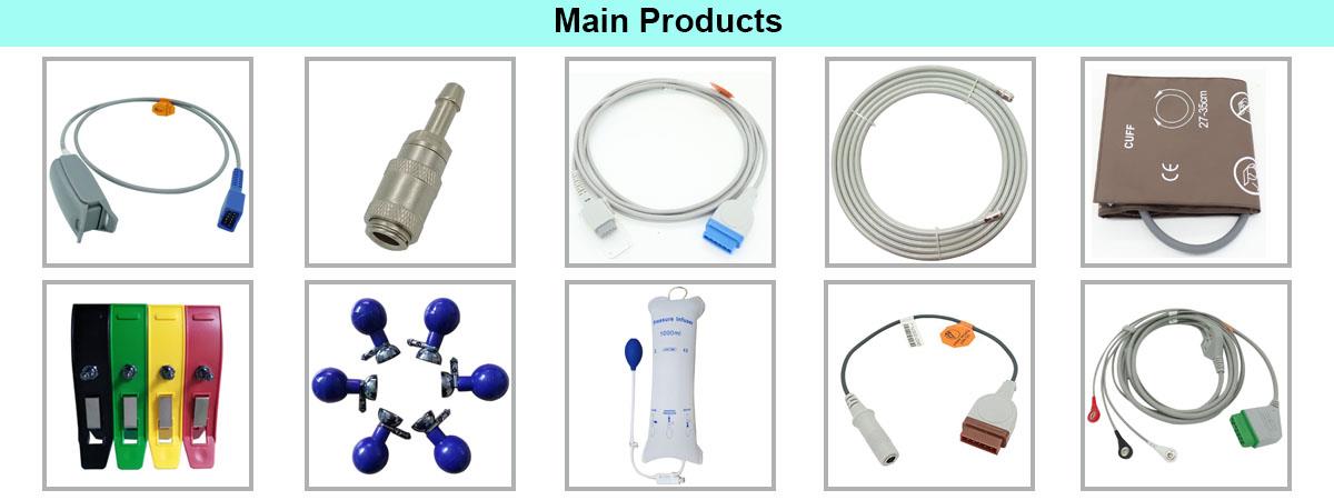 Main Products